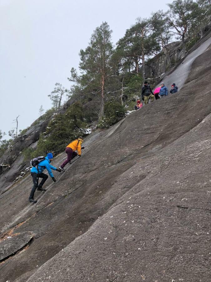 Akrafjorden Nature B&B AS Fjæra Eksteriør bilde